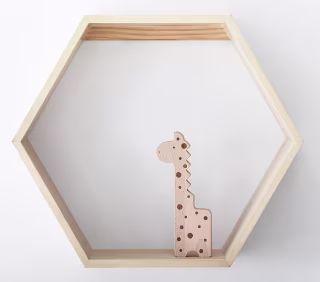 Pottery Barn Hexagon Natural Wall Shelves