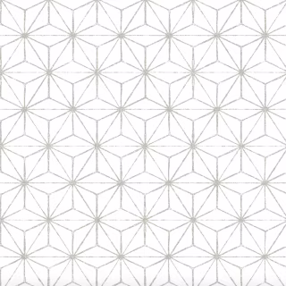 Wrought Studio Izaak Peel and Stick Wallpaper
