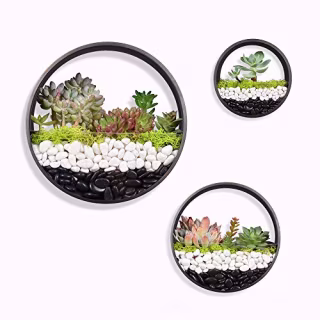 Ecosides Round Indoor Wall Succulent Hanging Planter, Metal Decorative Freestanding Mount Holder with Glass for Air Plants, Faux Flower,Set of 3 (Bronze)