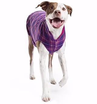 Gold Paw Duluth Double Fleece Dog Coat Pullover - Soft, Warm Dog Clothes, 4-Way Stretch Pet Sweater - Machine Washable, All-Season, Mulberry/Fuchsia, Size 14