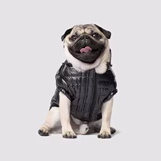 Canada Pooch Shiny North Pole Insulated Dog Puffer Vest