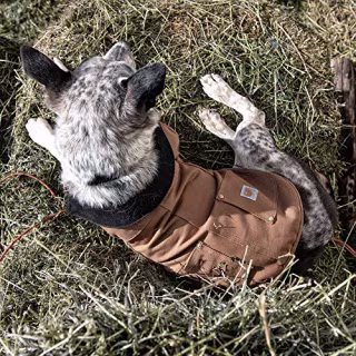 Carhartt Chore Coat, Dog Vest, Water Repellent Cotton Duck Canvas,Army Green,Medium