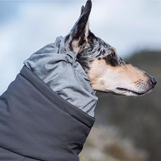 Hurtta Extreme Overall Insulated Dog Snowsuit, Blackberry