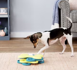 Tornado Dog Puzzle