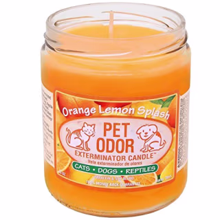 Pet Odor Exterminator Candle Orange Lemon Splash Jar (13 oz)