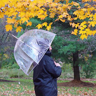 totes Signature Clear Bubble Umbrella