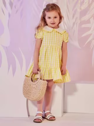 Straw Satchel Bag