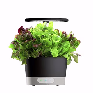 AeroGarden Gr Harvest 360 360-Black w/Heirloom Salad Greens Seed Pod Kit, Black