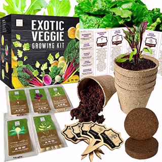 Exotic Vegetable Indoor Garden Seed Starter Growing Kit