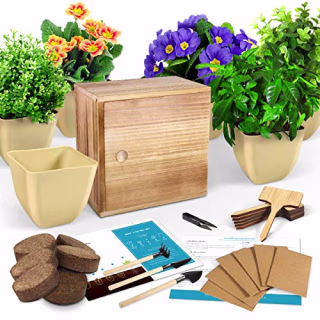 Indoor Herb Garden Starter Kit