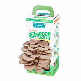 Back to the Roots Organic Mushroom Growing Kit
