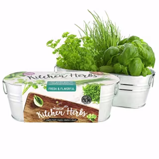 Buzzy Herb Gardening Kit