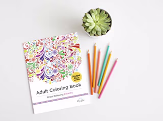 Adult Coloring Book Stress Relieving Patterns