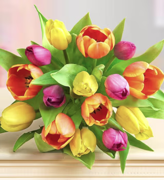 1-800Flowers Mother's Day Radiant Tulips