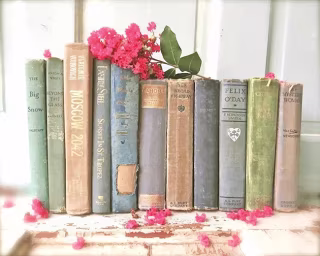 Vintage Books - Paint By Numbers