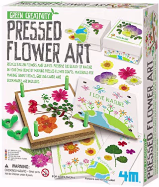 4M Green Creativity Pressed Flower Art Kit - Arts & Crafts DIY Recycle Floral Press Gift for Kids & Teens, Girls & Boys, Multi