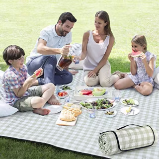 ZAZE Extra Large Picnic Outdoor Blanket, 80''x80'' Waterproof Foldable Blankets Gingham Picnic Mat for Beach, Camping on Grass (Green and White)