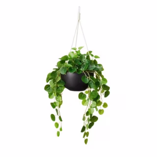 24" x 14" Faux String of Hearts Plant in Ceramic Pot Black - Hilton Carter for Target