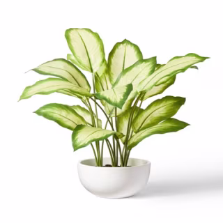 20" x 14" Faux Aglaonema Silver Bay Plant in Ceramic Pot White - Hilton Carter for Target