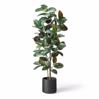 68.5" Faux Rubber Tree in Ribbed Pot Black - Hilton Carter for Target