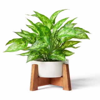 14" x 10" Faux Philodendron Birkin Plant with Wood Stand Planter White - Hilton Carter for Target