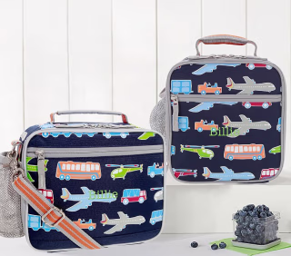 Pottery Barn Kids Mackenzie Dual Lunch Box