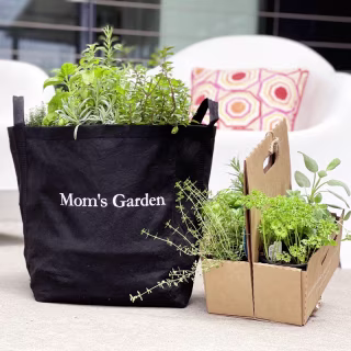 The Gardenuity Garden
