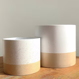 Indoor Ceramic Flower Pots