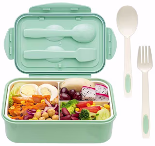 Bento Box for Adults