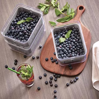 iDesign Crisp BPA-Free Plastic Produce Storage Bin
