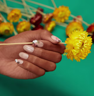 Dashing Diva Sweet Daisy Press-On Nails