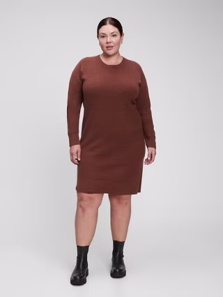 Softest Crewneck Sweater Dress