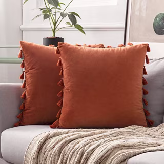 Miulee Velvet Decorative Throw (Set of 2)