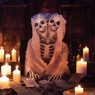 Oriental Trading Two-Headed Life-Size Posable Skeleton