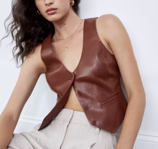 Aritzia Desire Vest