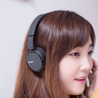 Sony ZX Series Wired On-Ear Headphones