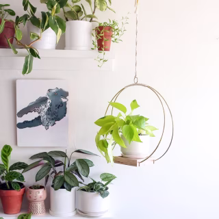 Braid and Wood Planters