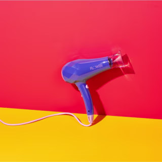 Flower Beauty Ionic Pro Dryer