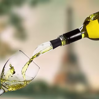 Newward 3-in-1 Wine Chiller Stick