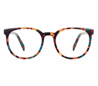Gillian Eyeglasses in Teal Tortoise