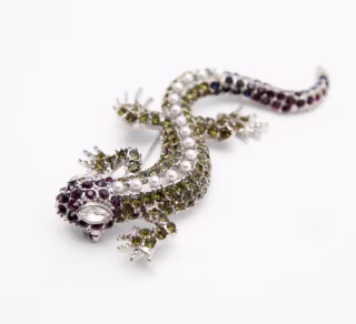 Zara Sparkly Lizard Brooch