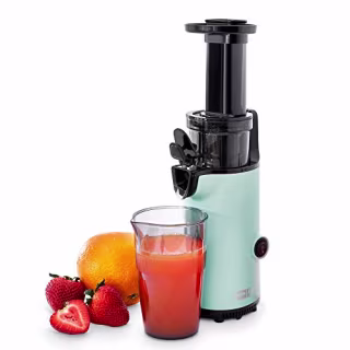Deluxe Compact Masticating Slow Juicer