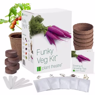 Funky Veg Garden Starter Kit