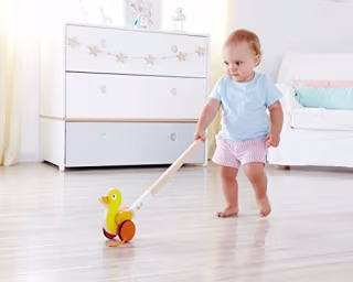 Hape Ducky Push Pal