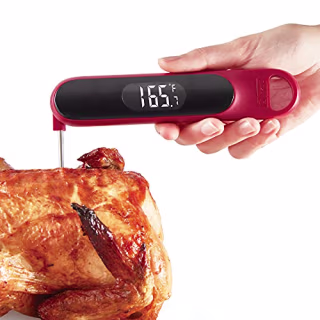 Dash Precision Quick-Read Meat Thermometer