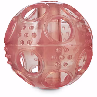 Little Chews Treat Dispenser Ball Puppy Toy in Assorted Colors