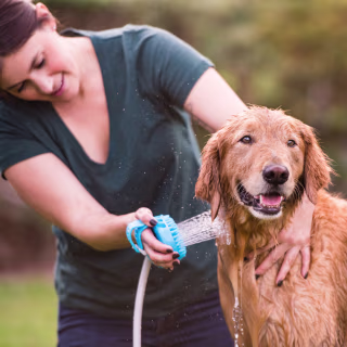 Pro Grooming Tool