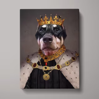 Pet Portraits