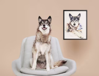 Custom Pet Portraits