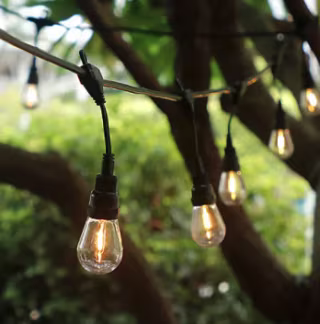 48' LED Dual Filament Vintage String Lights